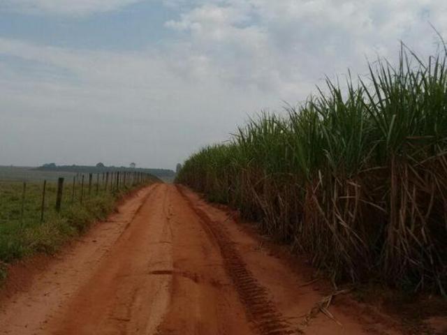 Fazenda 1275 Alqueires, 862 Alqueires em Cana, Topografia Plana, Terra Vermelha, Rica em Água com 2