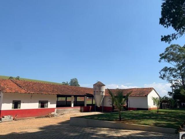 Fazenda 310 alqueires em Canas