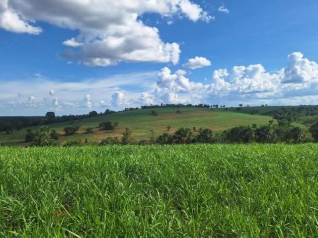 Fazenda