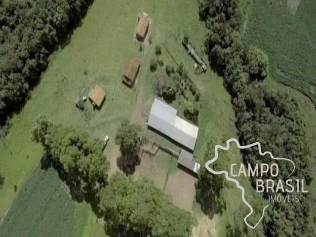 FAZENDA 1.238 HECTARES EM PIMENTA MG !