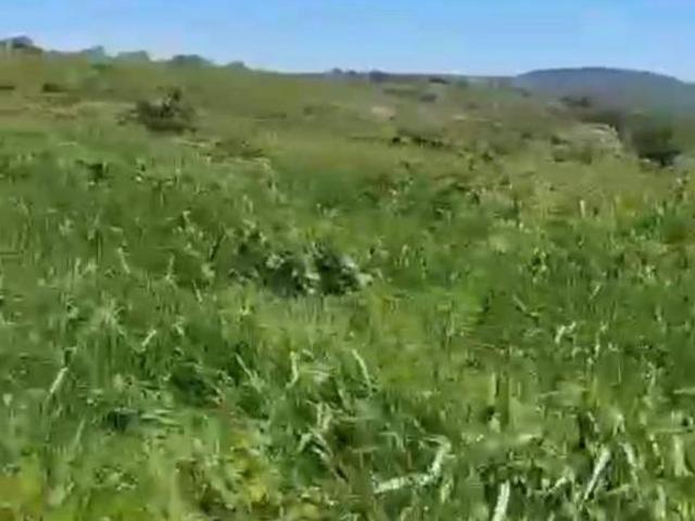 Fazenda 1.257,46 Hectares a 123 km de Montes Claros/MG