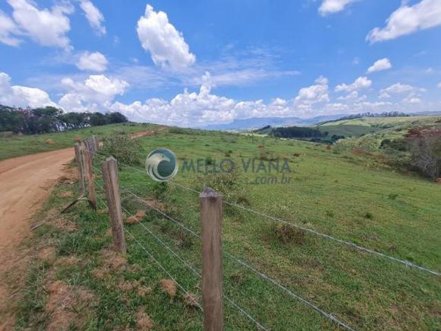 Fazenda 240 hectares