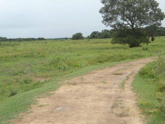 Fazenda