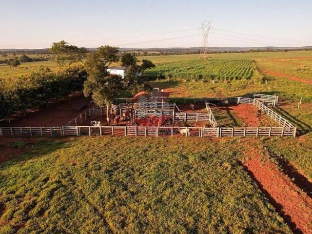 Fazenda