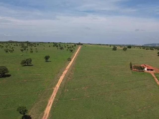Fazenda
