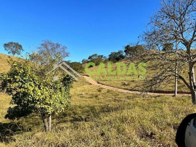 Fazenda