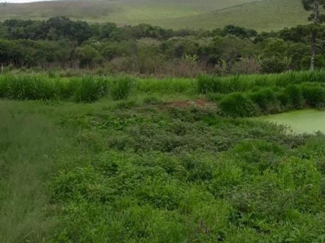 Fazenda