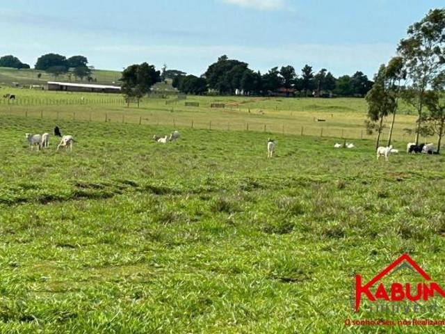 Fazenda