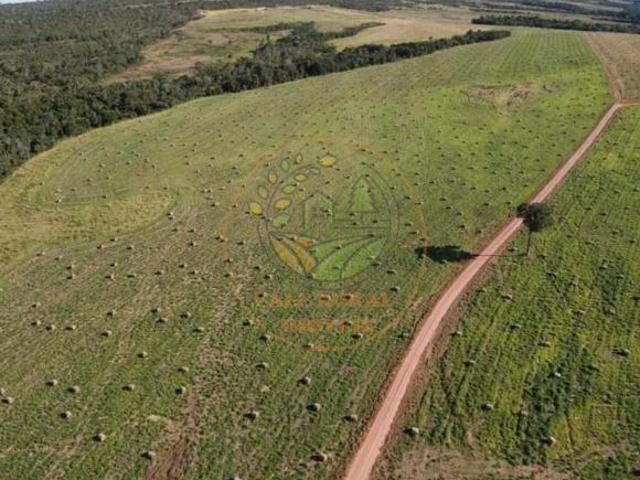 Fazenda