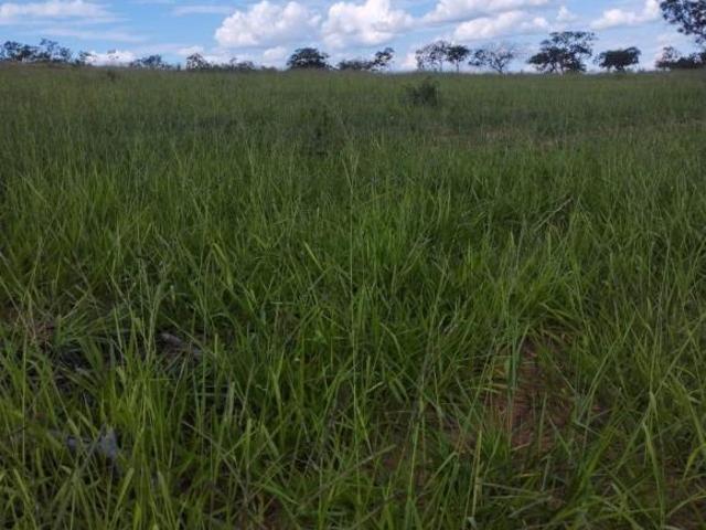 Fazenda