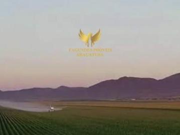 FAZENDA 250 ALQUEIRES APARECIDA DO TABOADO MS