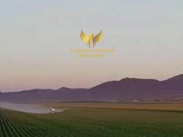FAZENDA 250 ALQUEIRES APARECIDA DO TABOADO MS