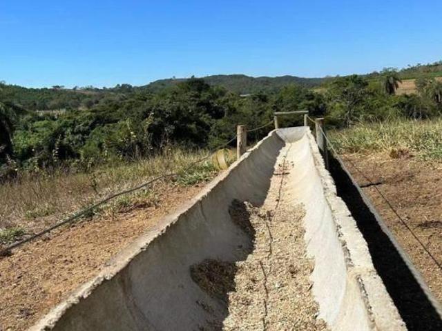 Fazenda