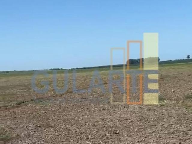 Fazenda para venda em Centro, São Gabriel