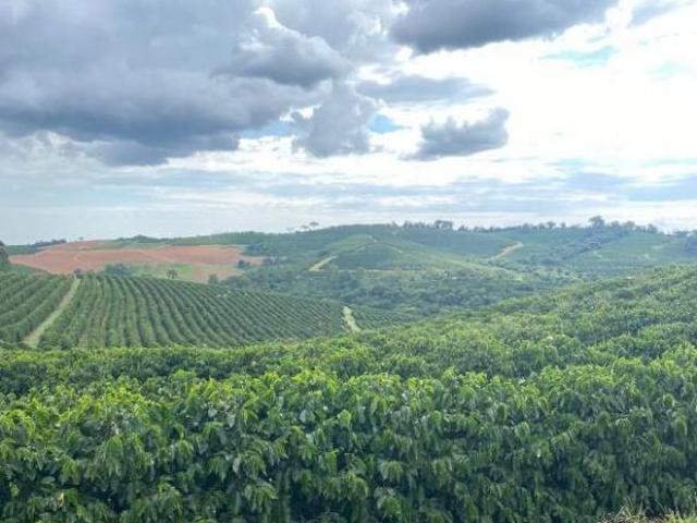 Fazenda