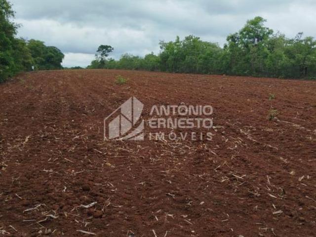 Fazenda 25 Hectare, Curvelo/MG BR 040