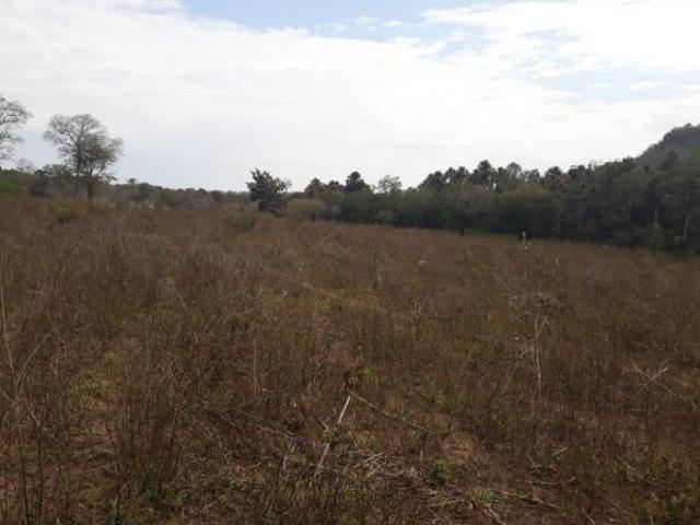 Fazenda