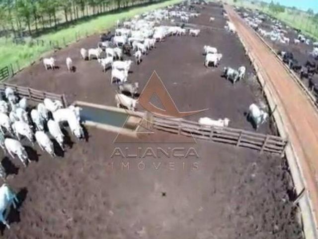 Fazenda