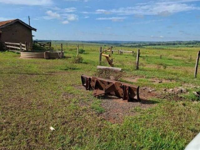 Fazenda para venda em Mirante do Paranapanema