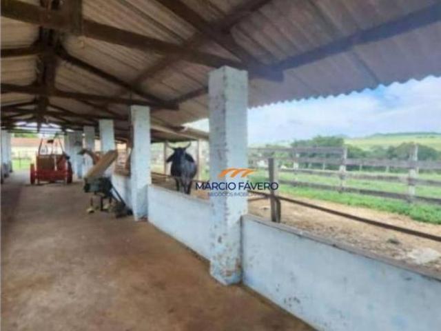 Fazenda