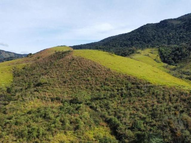 Fazenda