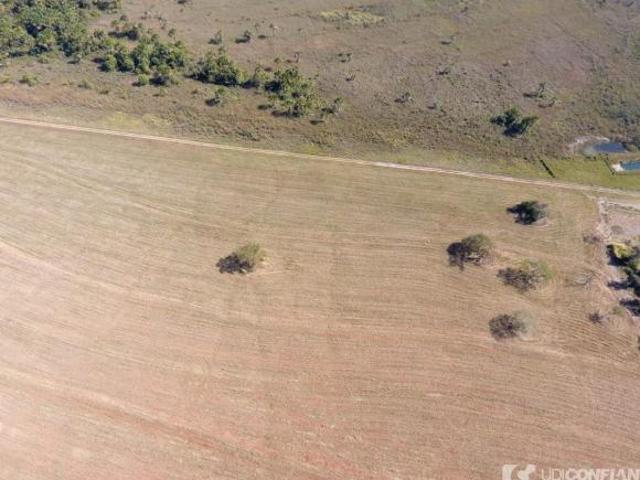 Fazenda