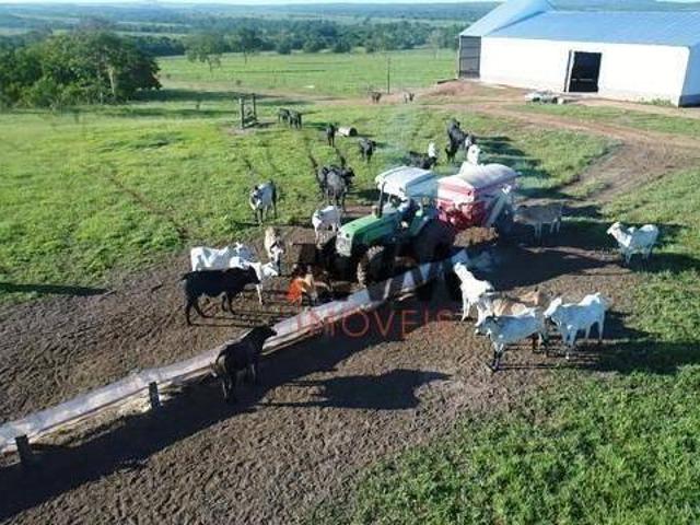 Fazenda