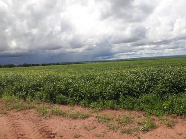 Fazenda