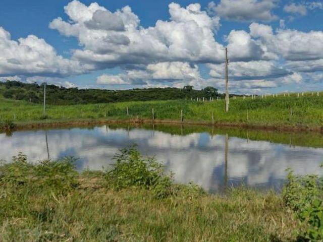 Fazenda 290 hectares em Curvelo/MG a 115 km de Montes Claros