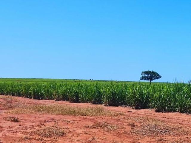 Fazenda