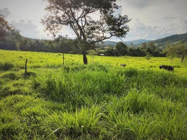Fazenda