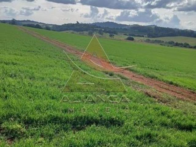 Fazenda