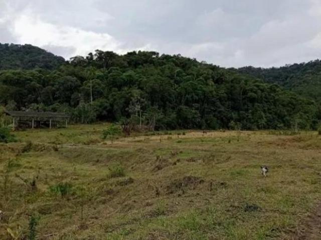 Fazenda