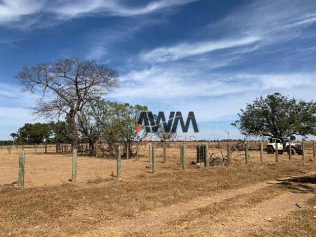 Fazenda