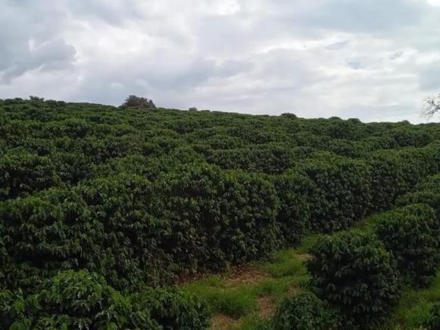 Fazenda
