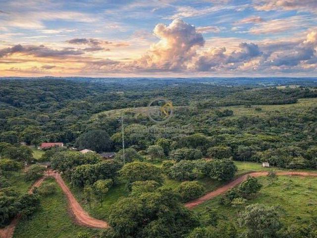 Fazenda 20,9 mil ha em Campinápolis MT: Pecuária e Irrigação