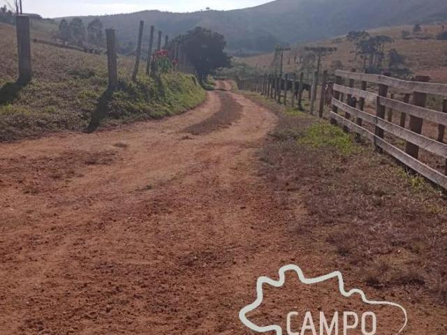 FAZENDA 211 HECTARES PORTEIRA FECHADA NO SUL DE MINAS GERAIS !