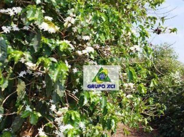 Fazenda