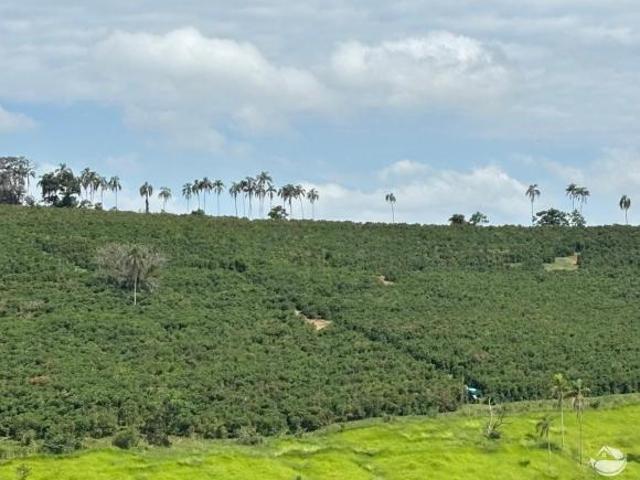 Fazenda