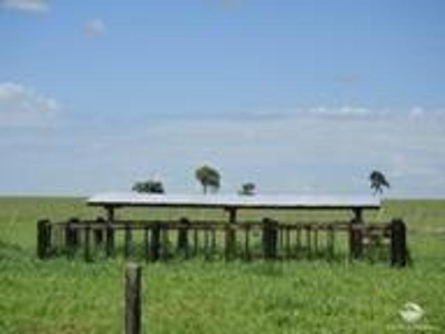 Fazenda