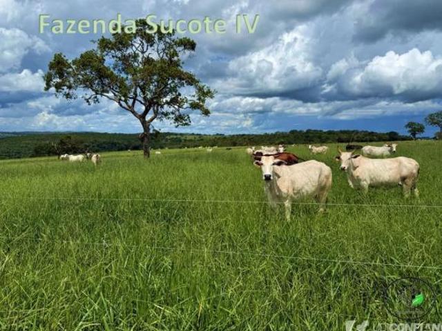 Fazenda