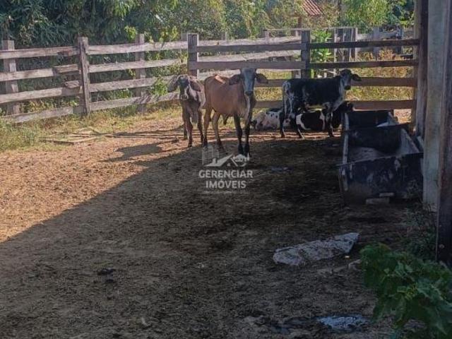 Fazenda 21 hectares com casa caseiro e sede, nascentes e lagoa em Pará de Minas MG