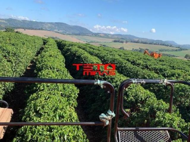 Fazenda