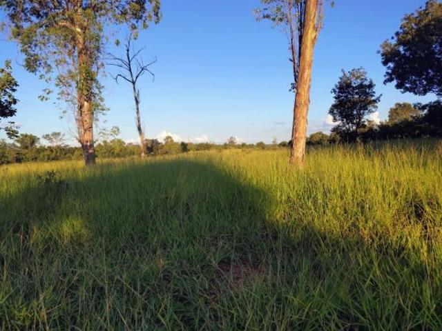 FAZENDA 227HA EM PARAOPEBA MG