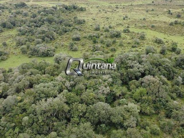 Fazenda 225 Hectares Pinheiro Machado RS R$15.000/ha
