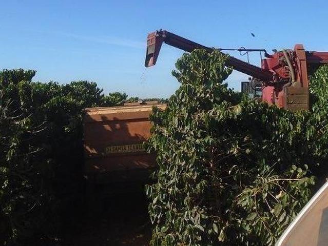 Fazenda