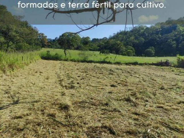 FAZENDA 230.000M² EM CONDOMÍNIO | MATOZINHOS