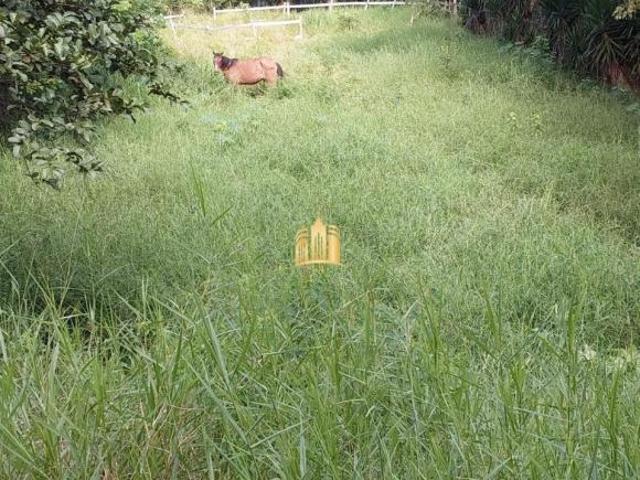 FAZENDA 230.000M² EM CONDOMÍNIO MATOZINHOS