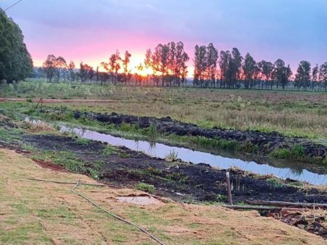 Fazenda