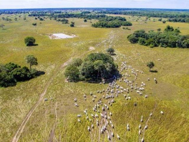 Fazenda
